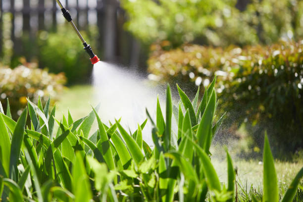 24/7 Emergency Wasp Removal experts in Troutman, NC