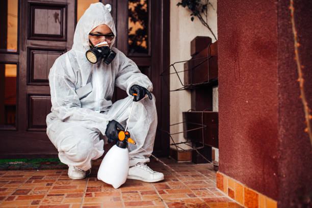Reliable Wasp Removal contractor in Troutman, NC by Show Me Pest Control