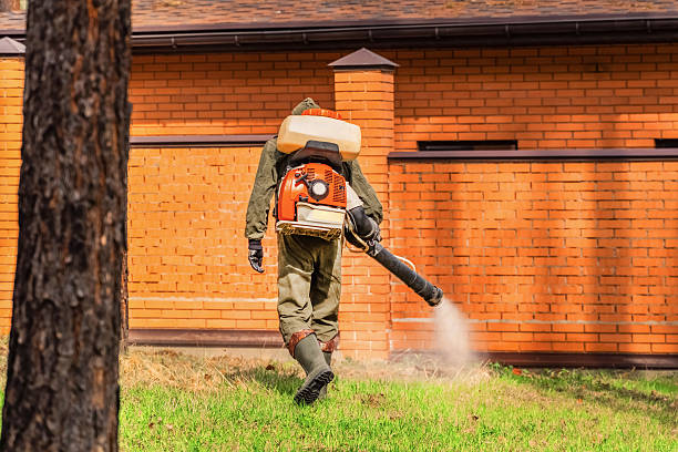 Top rated local Wasp Removal specialists in Troutman, NC